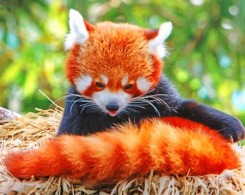 red-panda-in-the-nest-paint-by-number