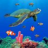 sea-turtles-paint-by-number