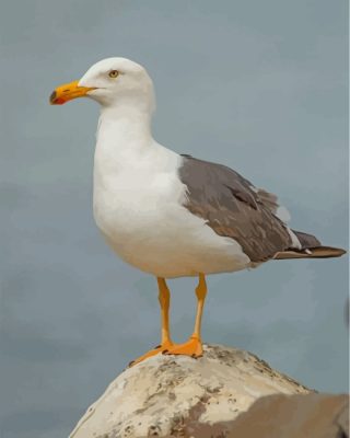 seagull-paint-by-numbers