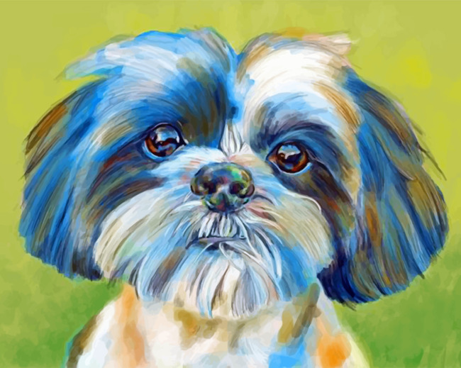 QIAOYUE DIY Digital Painting by mbers Kits Shih Tzu Cute Dog New Paint by mbers on Canvas Gift for Adults and Kids Birthday Wedding Christmas Decor Decorations-40x50cm-Frameless 