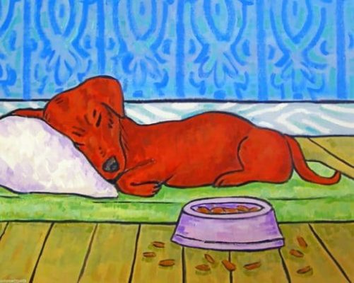 Sleeping Dachshund paint by numbers