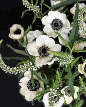 White Anemone Paint by numbers