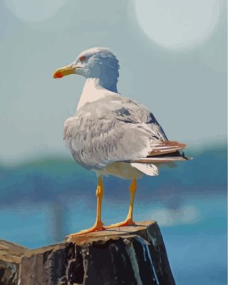white-seagull-paint-by-numbers