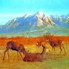 Albert bierstadt deer in a mountain paint by numbers