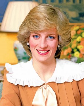 Beautiful Princess Diana Paint By Numbers - Numeral Paint Kit