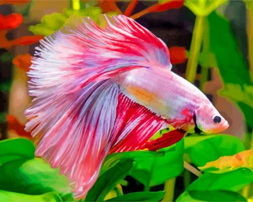 Betta Siamese Fighting Fish - Paint By Number - Numeral Paint