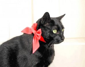 Black Cat Bow Tie paint by numbers