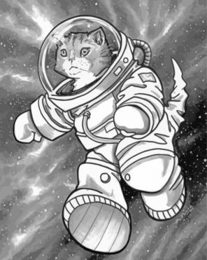 Black and White Astronaut Cat paint by number