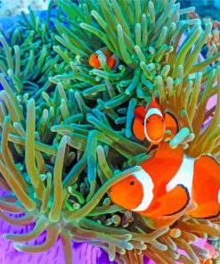 Clownfish Undersea paint by numbers