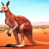 Desert Kangaroo Paint by numbers