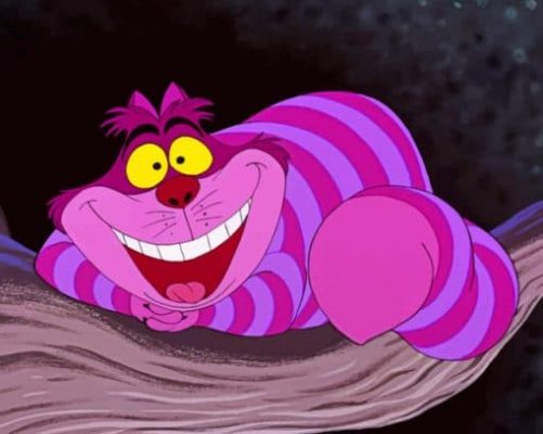 Disney Cheshire Cat paint by numbers