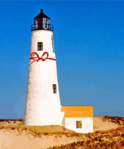 Great Point Lighthouse Nantucket paint by number