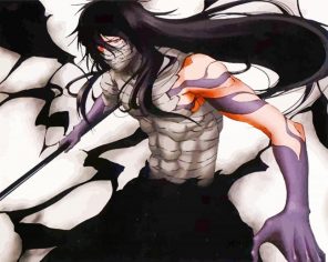 Ichigo Getsuga Paint by numbers