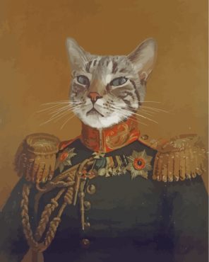 Mr-General-Cat-paint-by-numbers