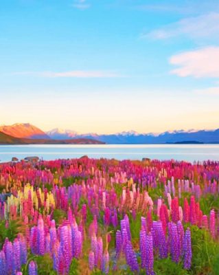 New Zealand Tekapo Lake paint by numbers