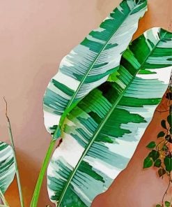 Philodendron-leaves-paint-by-numbers