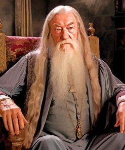 Professor Albus Dumbledore Harry Potter Paint By Number