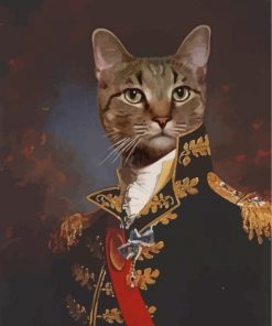 The-General-Cat-paint-by-numbers