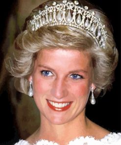 The Princess Diana paint by numbers