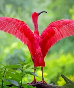 The Scarlet Ibis Bird paint by number