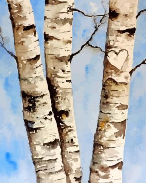 Aesthetic Birch Trees paint by numbers