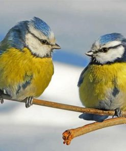 Aesthetic Blue Tit Birds paint by numbers