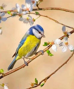 Aesthetic Blue Tit paint by numbers