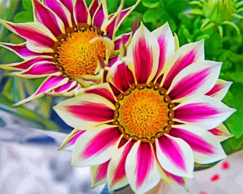 aesthetic-gazania-flowers-paint-by-numbers