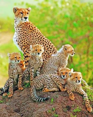 cheetah-family-paint-by-numbers