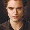 Edward Cullen paint by numbers