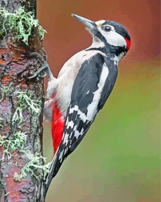 great-spotted-woodpecker-paint-by-numbers