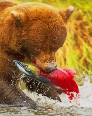 Grizzly Bear Catching Salmon Paint by numbers