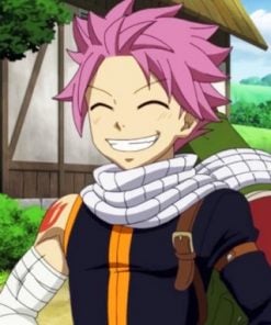 Happy Natsu From Fairy Tail Paint by numbers