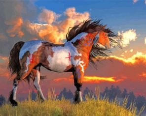 indian war horse paint by number