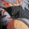 Kakashi Hatake paint by numbers