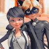ladybug and cat noir paint by numbers