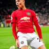 mason-greenwood-man-utd-paint-by-number