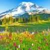 Mount Rainier Paradise Paint by numbers