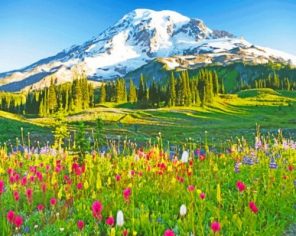 Mount Rainier Paradise Paint by numbers