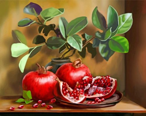 Pomegranate Fruits paint by numbers