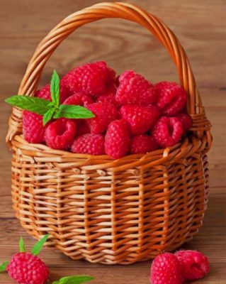 raspberries-fruit-in-basket-paint-by-number