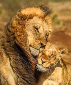Cute Lion and Lioness