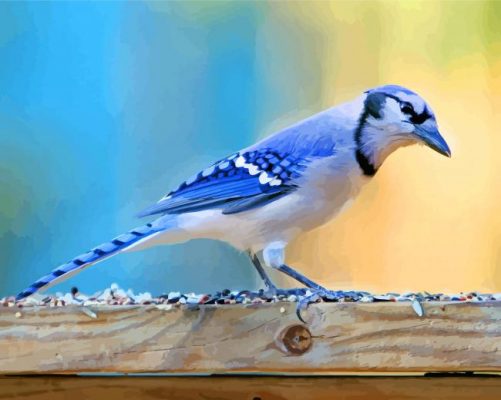 Aesthetic Blue Jay paint by number