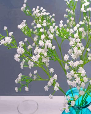 Aesthetic White Babys Breath paint by numbers