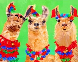 Alpacas llamas paint by numbers
