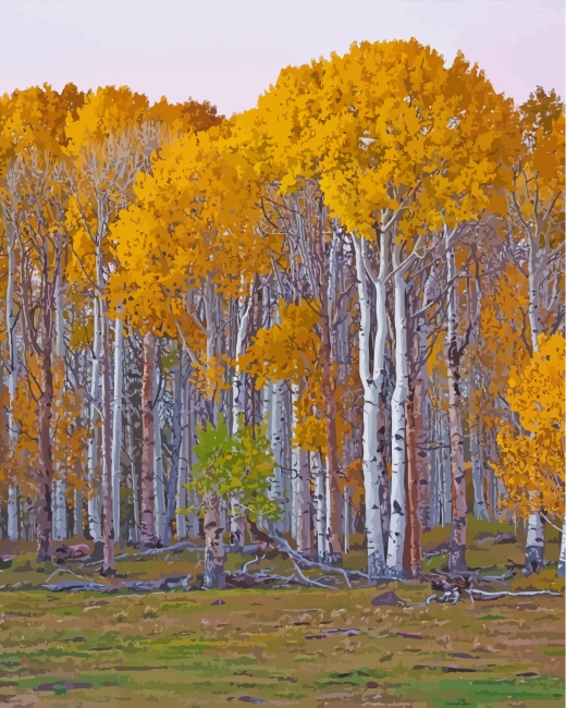 Large Birch Tree Painting  Large Size Paint by Numbers Kits