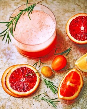 Blood Orange Cocktail paint by numbers