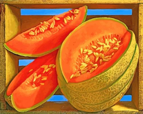 Cantaloupe art paint by numbers
