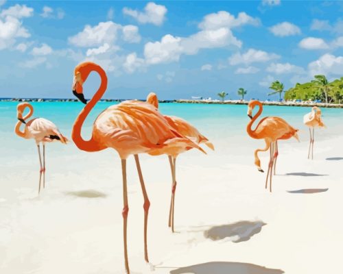 Flamingos By Beach paint by numbers