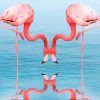 Flamingos Drinking Water paint by numbers